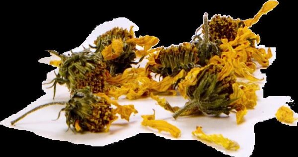 topinambur-blatt-blueten-tee-bio-die-heilkraft-des-topinambur-kannst-du-mit-diesem-tee-erfahren-detailansicht